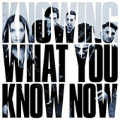 MARMOZETS — Knowing What You Know Now (LP)