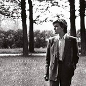 DAVID SYLVIAN — Brilliant Trees (LP)
