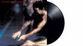 SIOUXSIE AND THE BANSHEES — The Scream (LP)