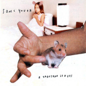 SONIC YOUTH — A Thousand Leaves (2LP)