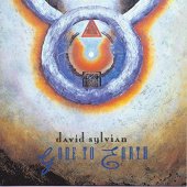 DAVID SYLVIAN — Gone To Earth (2LP)