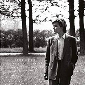 Виниловая пластинка: DAVID SYLVIAN — Brilliant Trees (LP)