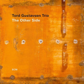 TORD GUSTAVSEN TRIO — The Other Side (LP)