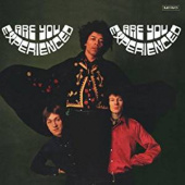 JIMI HENDRIX — Are You Experienced (2LP)