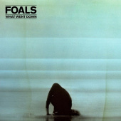 FOALS — What Went Down (LP)