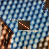 DAVID GRAY — White Ladder (2LP)