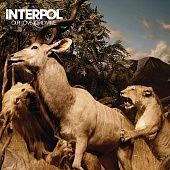 INTERPOL — Our Love To Admire (2LP)