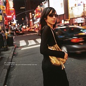 PJ HARVEY — Stories From The City, Stories From The Sea (LP)