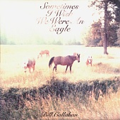 BILL CALLAHAN — Sometimes I Wish We Were An Eagle (LP)
