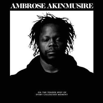 Виниловая пластинка: AMBROSE AKINMUSIRE — On The Tender Spot Of Every Calloused Moment (LP)