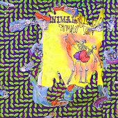 ANIMAL COLLECTIVE — Ballet Slippers (3LP)