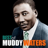MUDDY WATERS — The Best Of (LP)