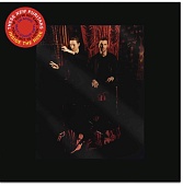 THESE NEW PURITANS — Inside The Rose (LP)