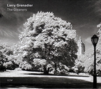 Виниловая пластинка: GRENADIER, LARRY — The Gleaners (LP)