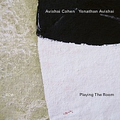 AVISHAI COHEN / YONATHAN AVISHAI — Playing The Room (LP)