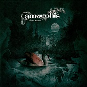 AMORPHIS — Silent Waters (2LP)