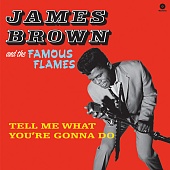 JAMES BROWN — Tell Me What You're Gonna Do (LP)