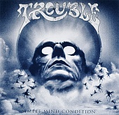 TROUBLE — Simple Mind Condition (LP)