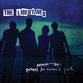 THE LIBERTINES — Anthems For Doomed Youth (LP)