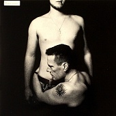 U2 — Songs Of Innocence (2LP)