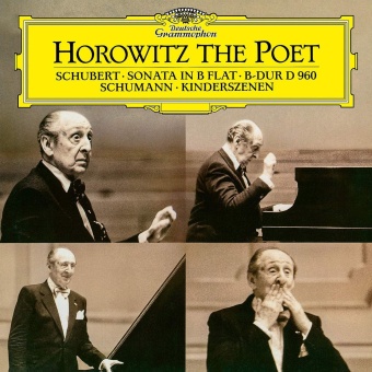 Виниловая пластинка: HOROWITZ — The Poet (LP)