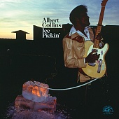 ALBERT COLLINS — Ice Pickin' (LP)