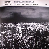 POTTER, CHRIS — The Dreamer Is The Dream (LP)
