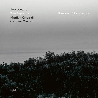 Виниловая пластинка: JOE LOVANO, TRIO TAPESTRY — Garden Of Expression (LP)