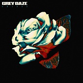 GREY DAZE — Amends (LP)