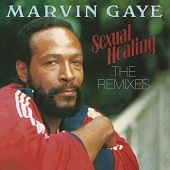 MARVIN GAYE — Sexual Healing: The Remixes (12 Single)